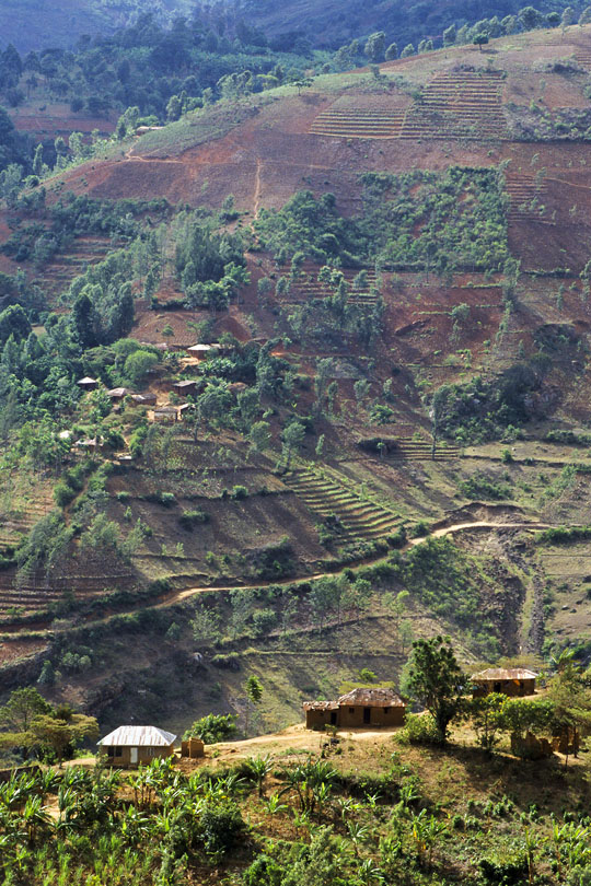 Contour lines to control soil erosion, &lt;p&gt;Usambara Mountains, Tanzania