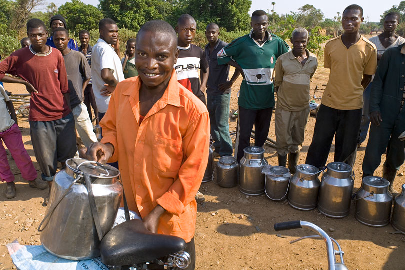 Bicycles are an important means of &lt;p&gt;transport to deliver the fresh milk